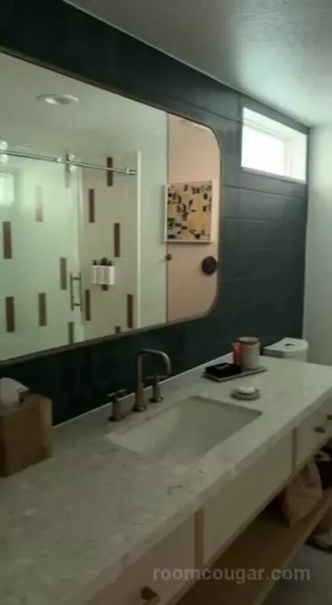 Standard (#220) bathroom picture #1