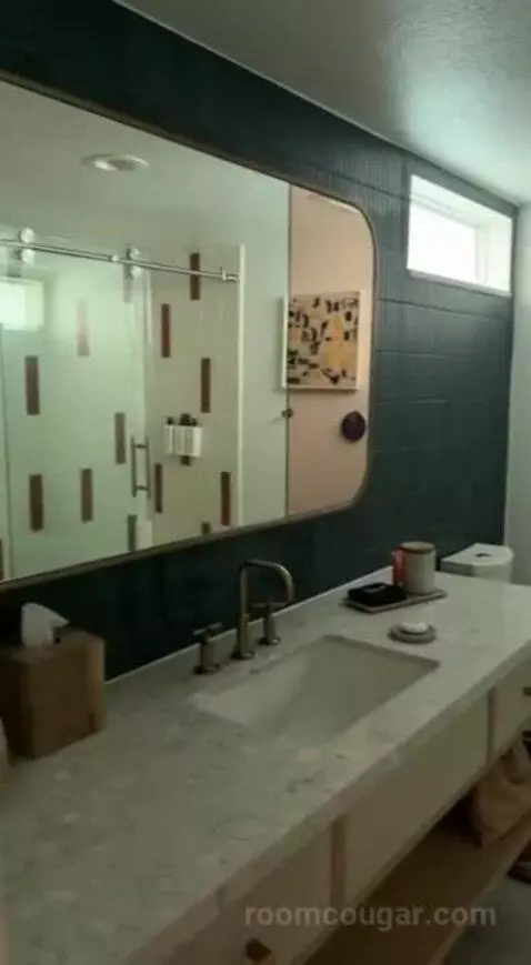 Standard (#220) bathroom picture #2