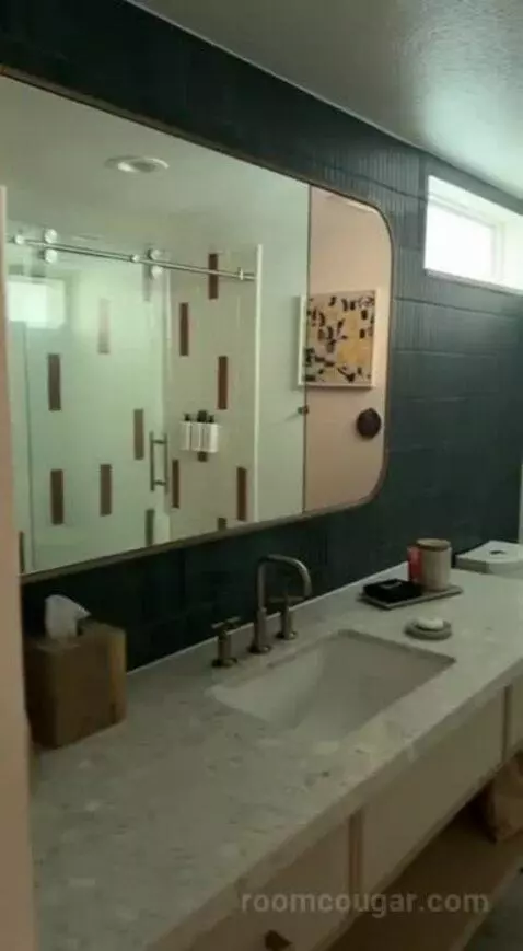Standard (#220) bathroom picture #3