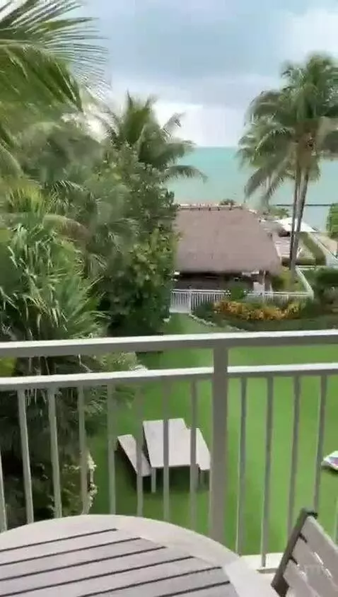 One-Bedroom Suite with Ocean View (#204) view picture #3