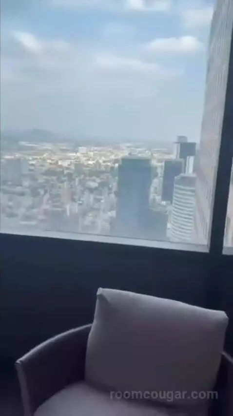 Deluxe Guest Room with 2 Queen, City View view picture #2