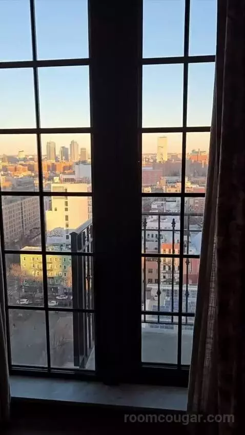 Penthouse (#1703) view picture #5