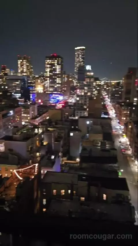 Penthouse (#1703) view picture #6