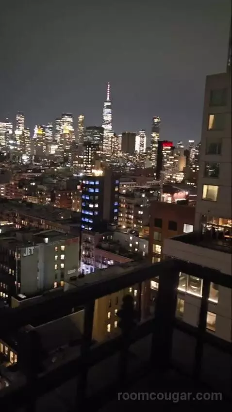 Penthouse (#1703) view picture #7