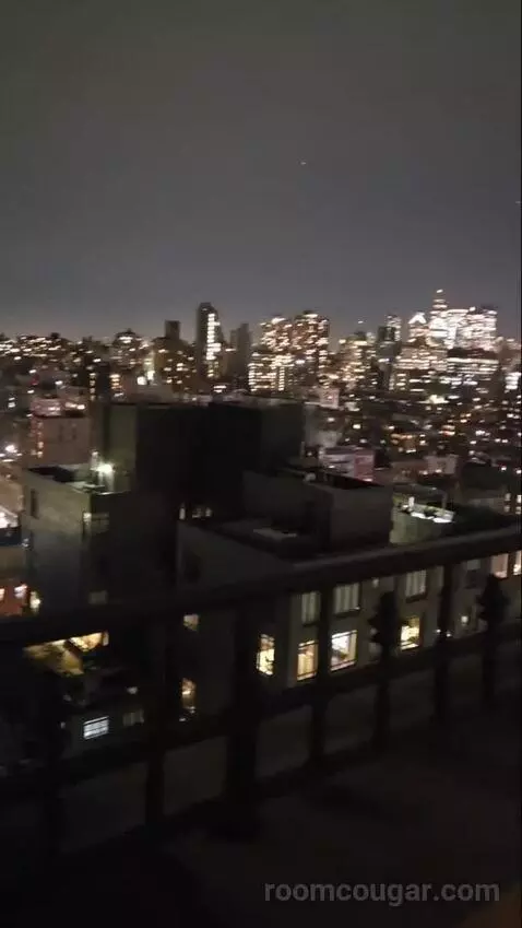 Penthouse (#1703) view picture #8