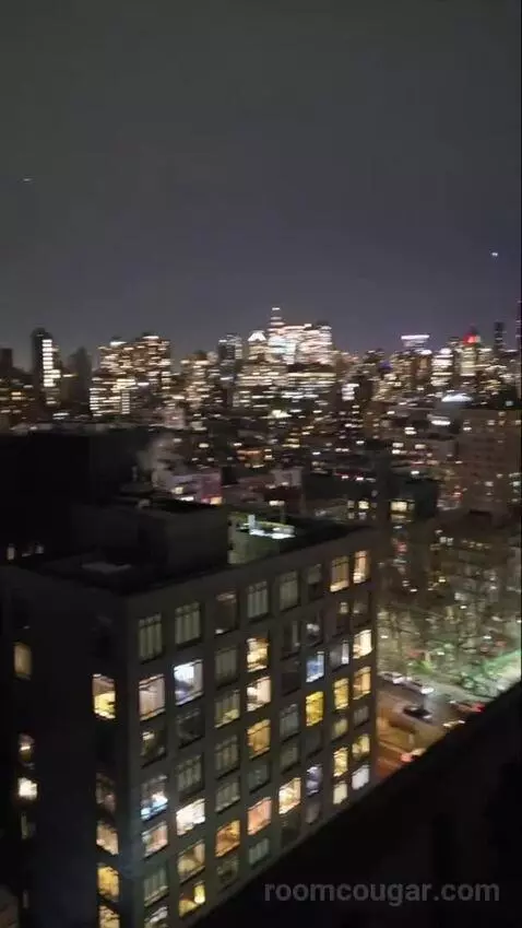 Penthouse (#1703) view picture #9