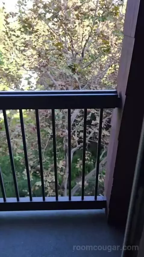 2 Bedroom Suite (#4327-4329) view picture #2
