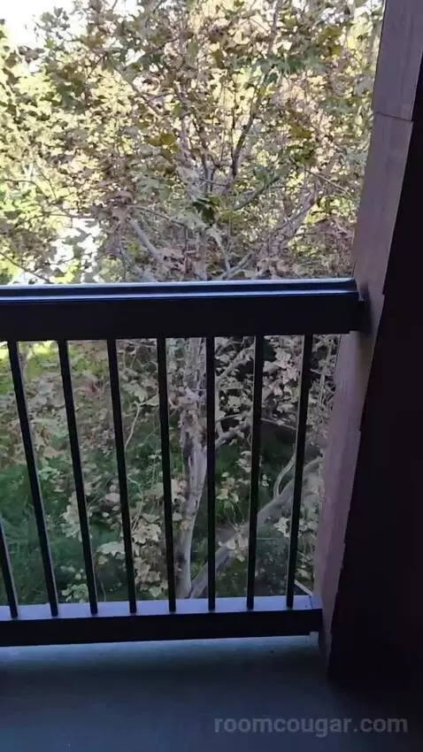 2 Bedroom Suite (#4327-4329) view picture #3
