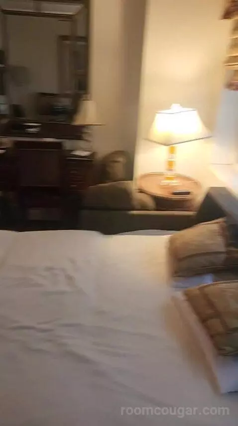 Luxury One Bedroom Suite - King Bed (6F) bed picture #12