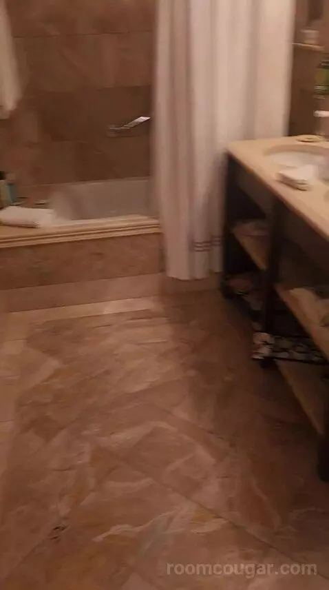 Luxury One Bedroom Suite - King Bed (6F) bathroom picture #1