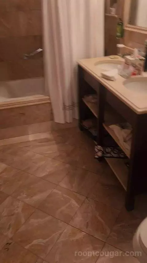 Luxury One Bedroom Suite - King Bed (6F) bathroom picture #2
