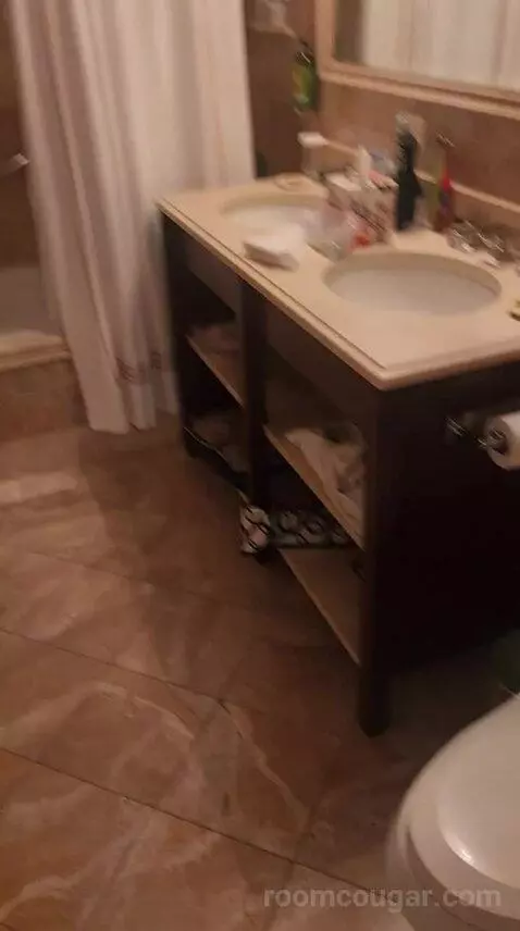 Luxury One Bedroom Suite - King Bed (6F) bathroom picture #3