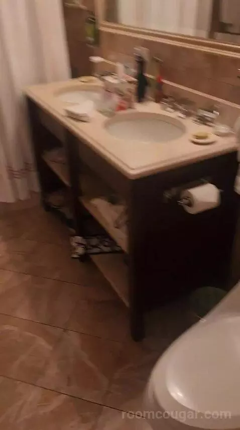 Luxury One Bedroom Suite - King Bed (6F) bathroom picture #4