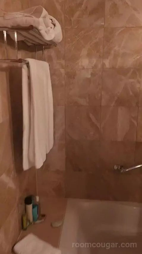 Luxury One Bedroom Suite - King Bed (6F) bathroom picture #5
