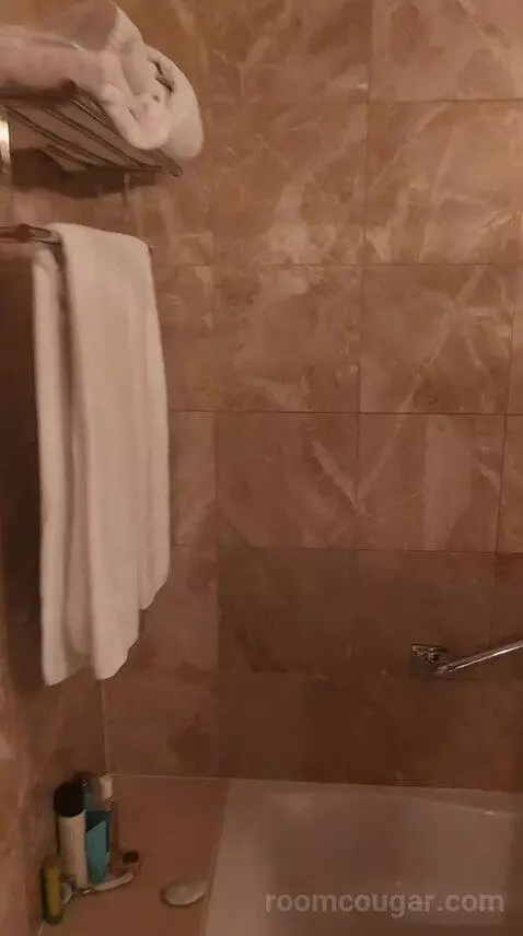 Luxury One Bedroom Suite - King Bed (6F) bathroom picture #6