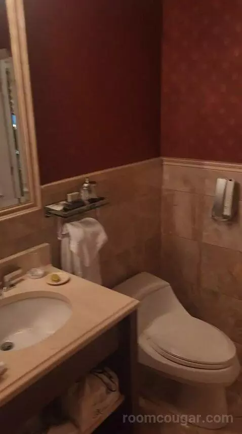 Luxury One Bedroom Suite - King Bed (6F) bathroom picture #9