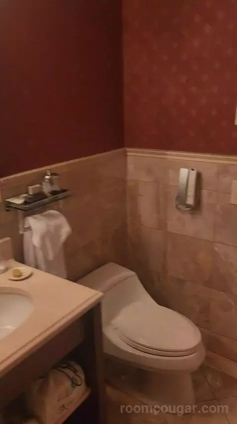 Luxury One Bedroom Suite - King Bed (6F) bathroom picture #10