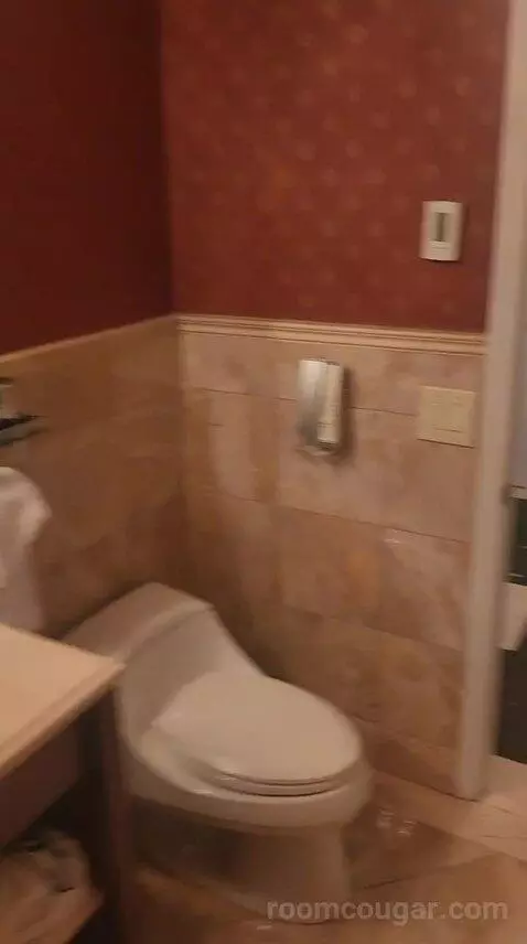 Luxury One Bedroom Suite - King Bed (6F) bathroom picture #11