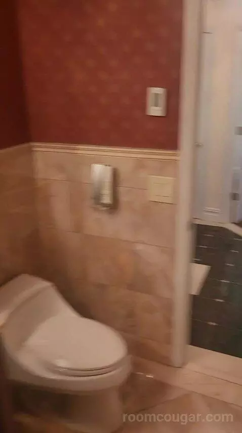 Luxury One Bedroom Suite - King Bed (6F) bathroom picture #12