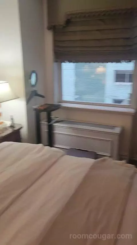 Luxury One Bedroom Suite - King Bed (6F) bed picture #8
