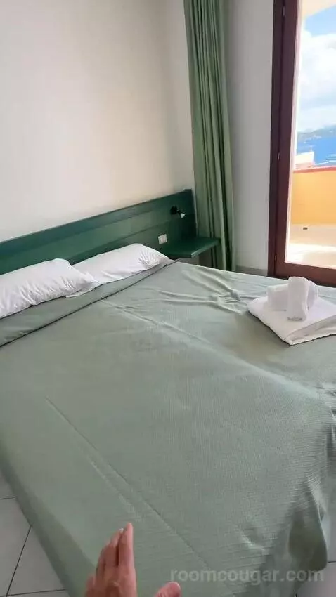 Standard (#206) view picture #1