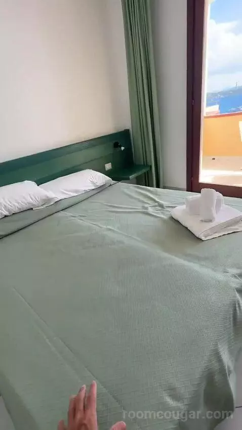 Standard (#206) view picture #2