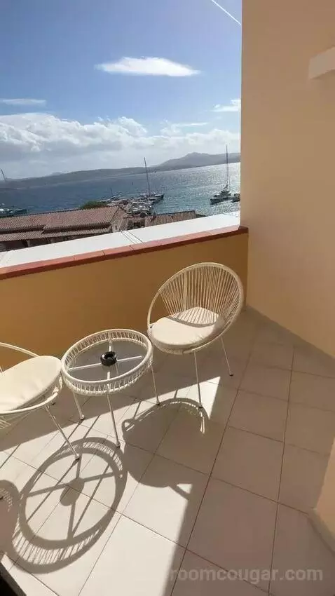 Standard (#206) view picture #4