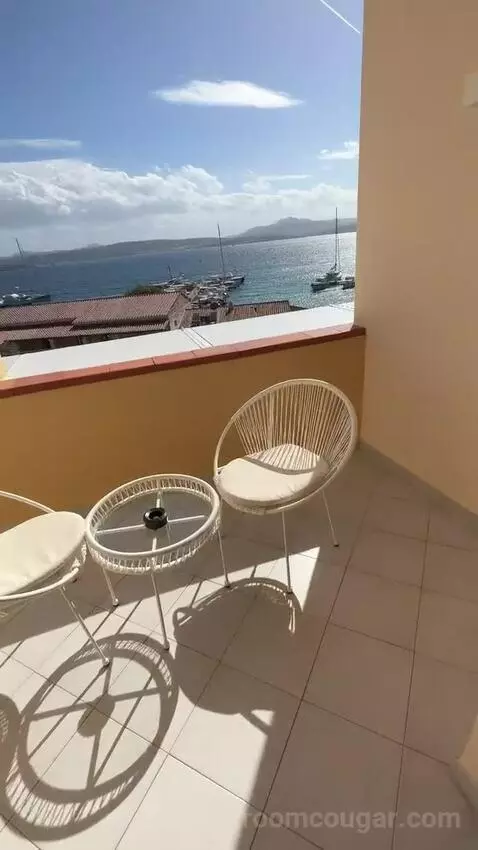 Standard (#206) view picture #5