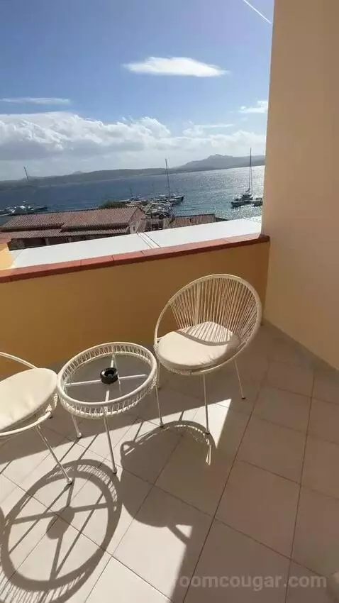 Standard (#206) view picture #6