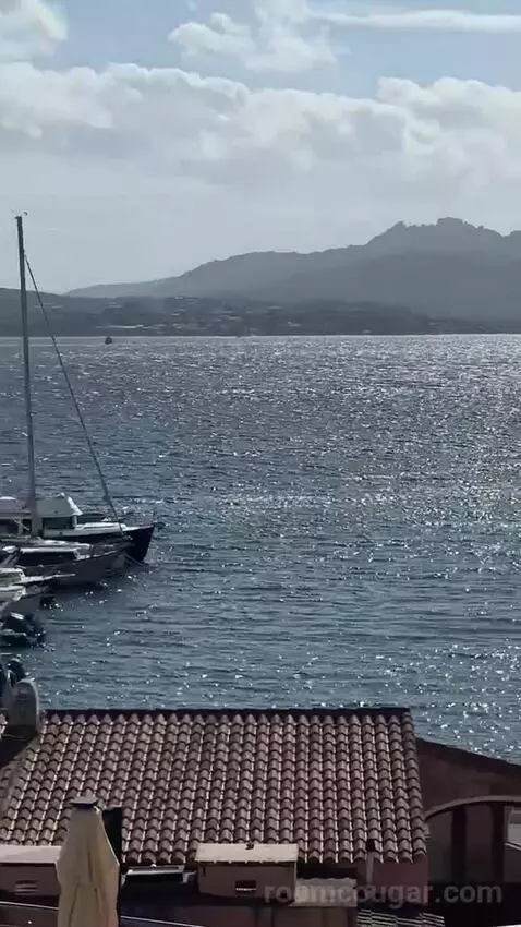 Standard (#206) view picture #7