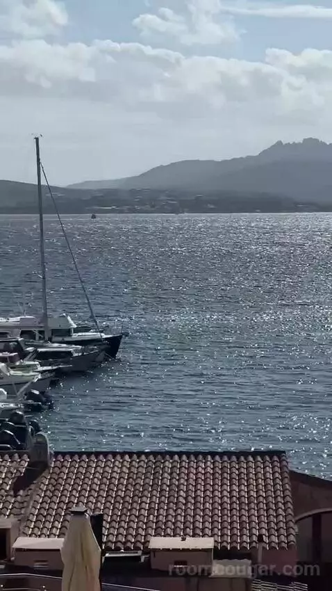 Standard (#206) view picture #8