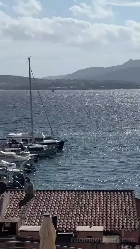 Standard (#206) view picture #9