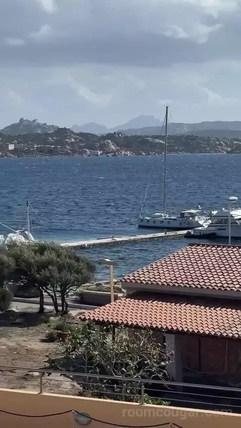 Standard (#206) view picture #10