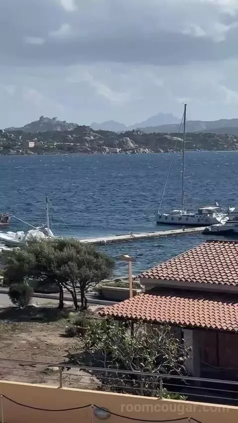 Standard (#206) view picture #11