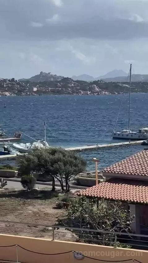 Standard (#206) view picture #12