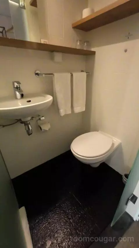 Double Room with River View (#165) bathroom picture #2