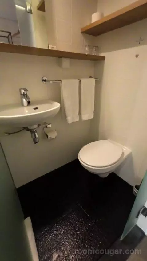 Double Room with River View (#165) bathroom picture #3