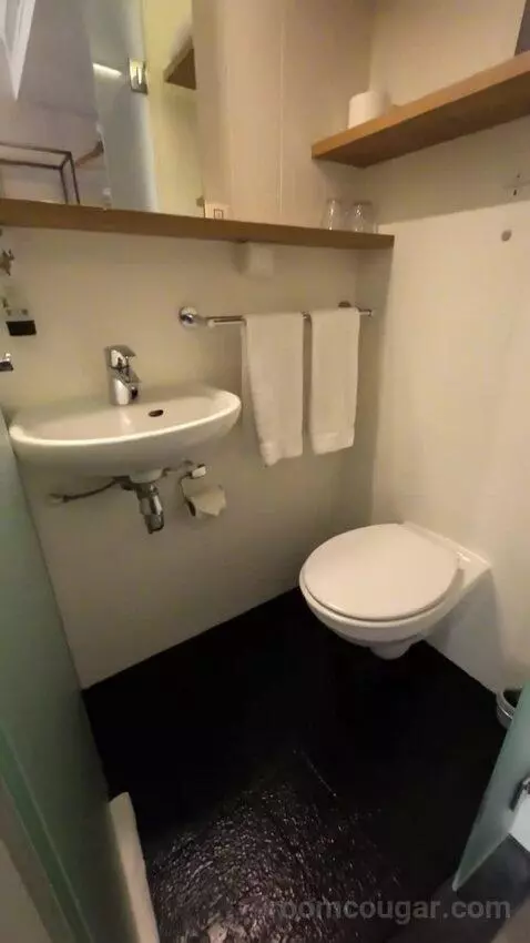 Double Room with River View (#165) bathroom picture #5