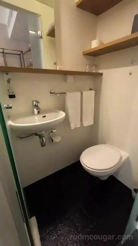 Double Room with River View (#165) bathroom picture #7