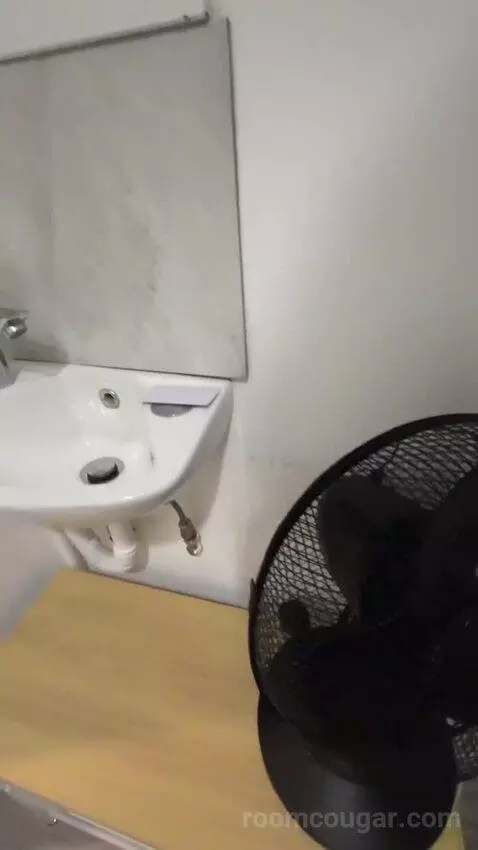 Single Room with Private Bathroom (3A) bathroom picture #1