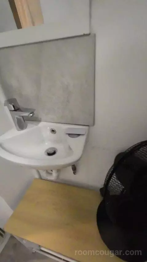 Single Room with Private Bathroom (3A) bathroom picture #3