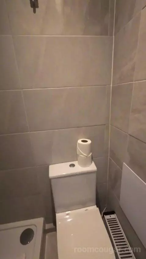 Single Room with Private Bathroom (3A) bathroom picture #8