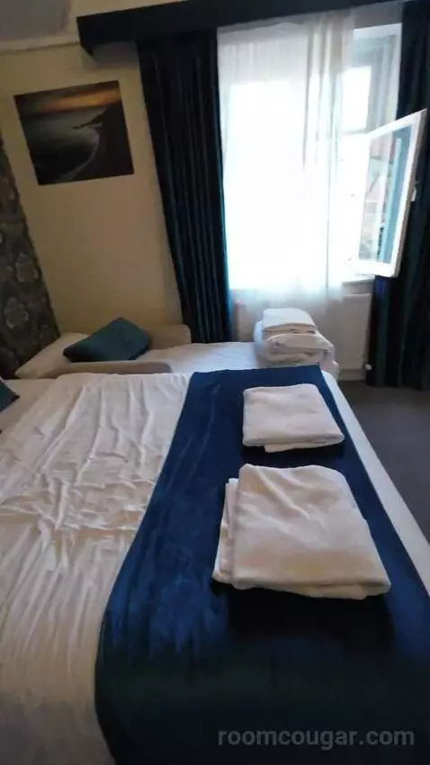 Comfort Triple Room (#305) bed picture #8