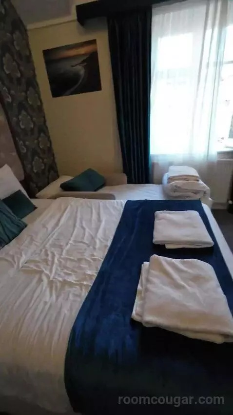 Comfort Triple Room (#305) bed picture #9