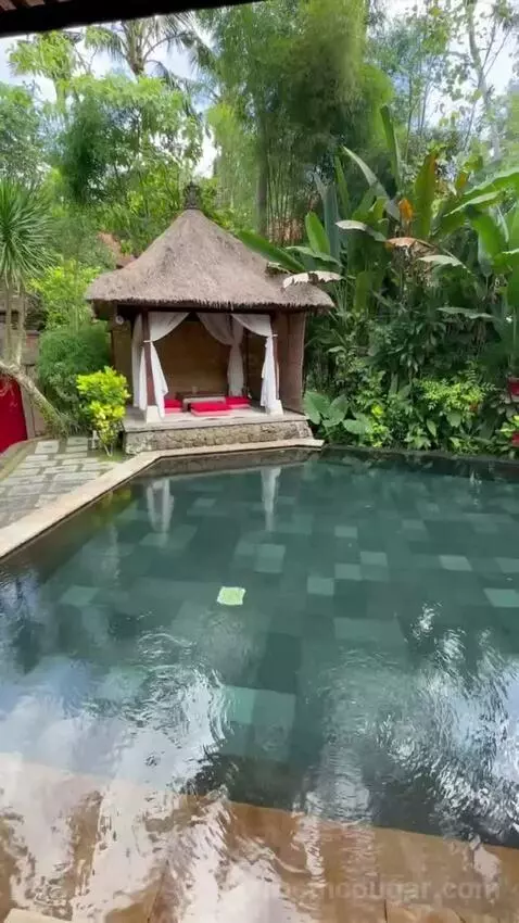 Suite Pool Villa (#110) view picture #1