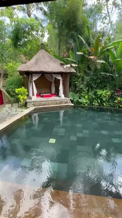 Suite Pool Villa (#110) view picture #2