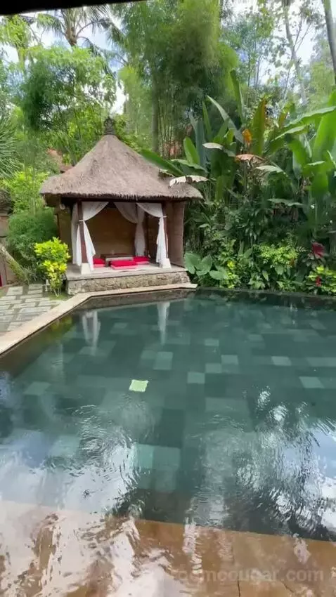 Suite Pool Villa (#110) view picture #3
