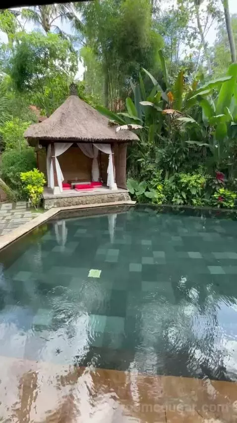 Suite Pool Villa (#110) view picture #4