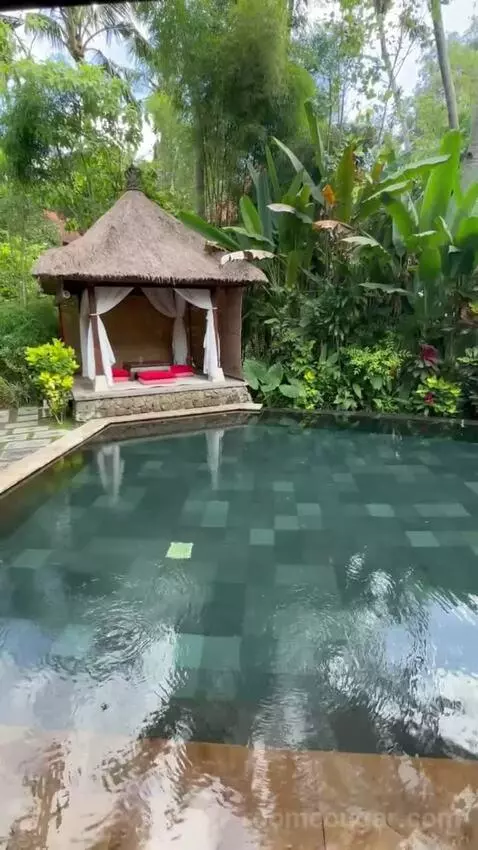 Suite Pool Villa (#110) view picture #5