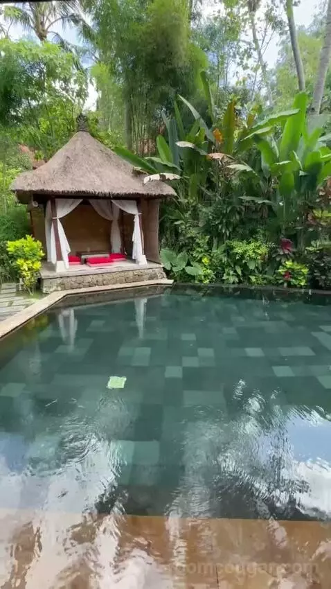 Suite Pool Villa (#110) view picture #6